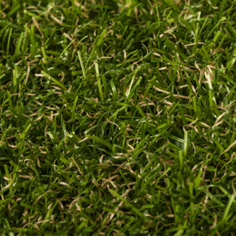 Mona Verdite Monobacking photo1